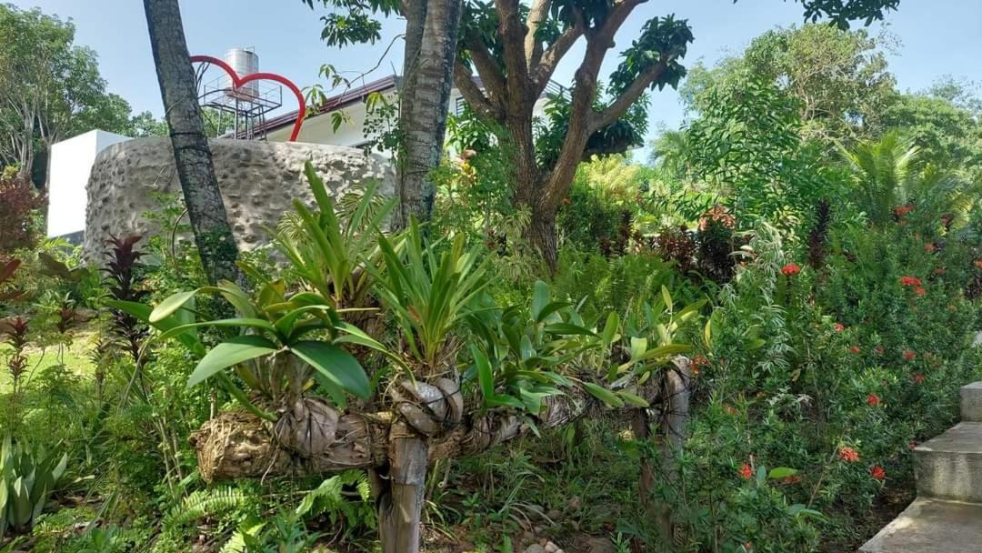 Matteo'S Hus Villa Rental Zamboanguita  Eksteriør billede